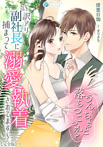 うん、ちょっと落ちつこっか？～訳アリ副社長に捕まって溺愛執着されてます～