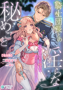 騎士団長との淫らな秘めごと～箱入り姫は性に目覚めてしまった～